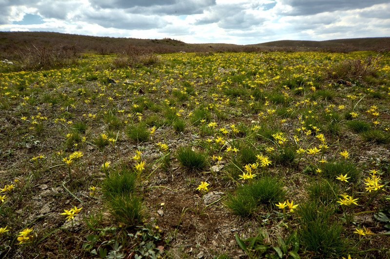 южный урал,оренбургская область, орск, новотроицк, Весна на Южном Урале фото превью