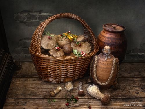 Грибное лето