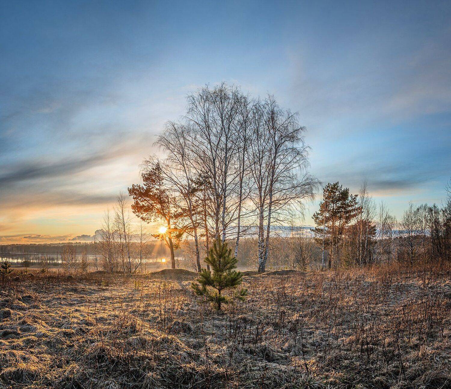 , Николай Андреев