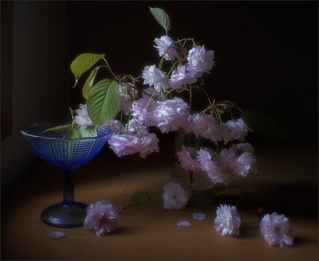 , Stein Georg
