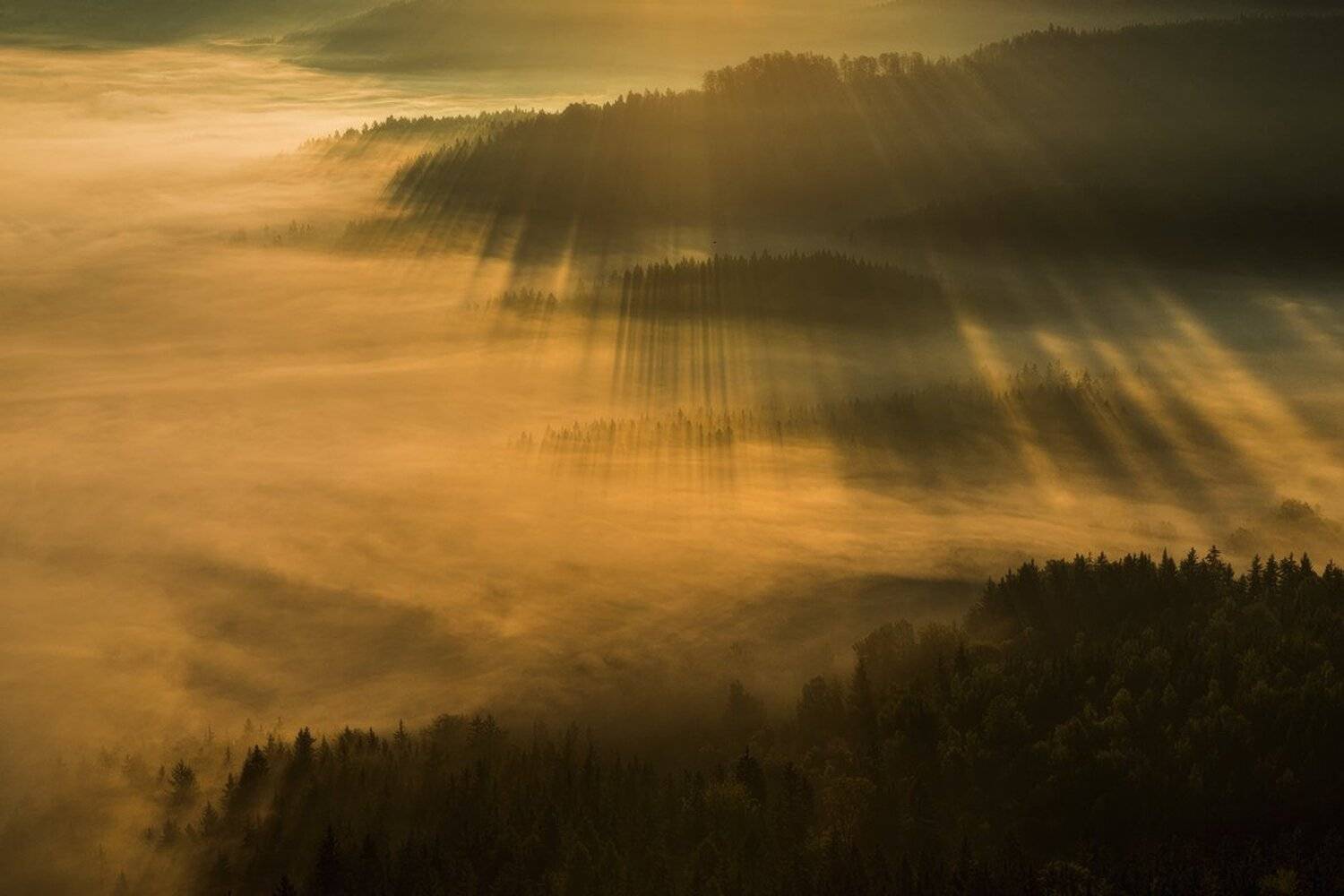 autumn,mountains,canon,sunrise, Iza i Darek Mitręga