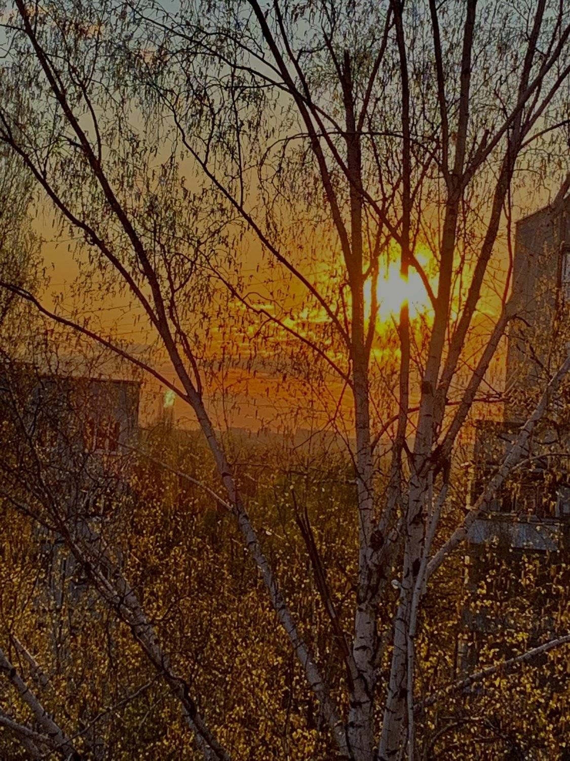 украина, закат, природа, Татьяна