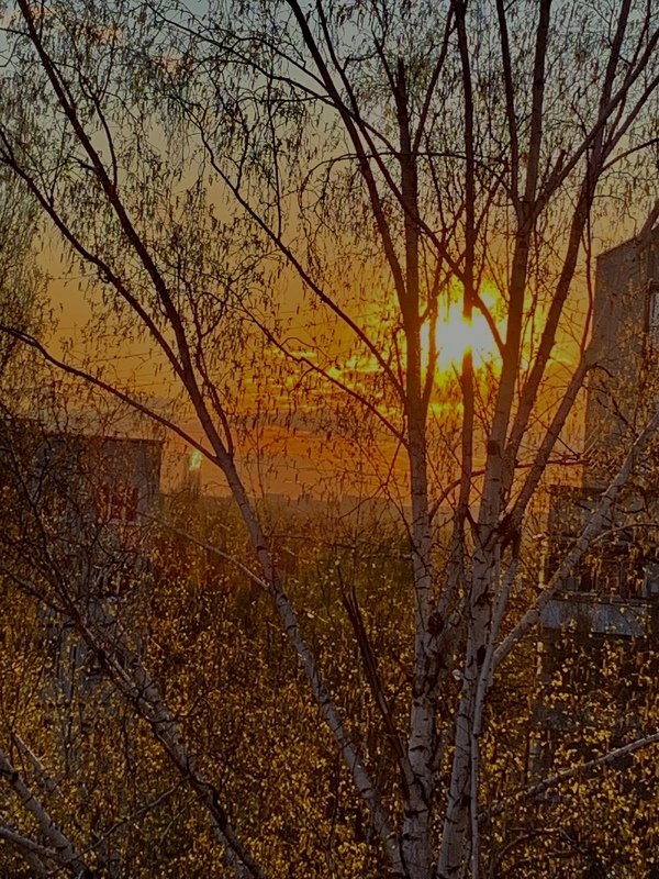 украина, закат, природа На закате фото превью