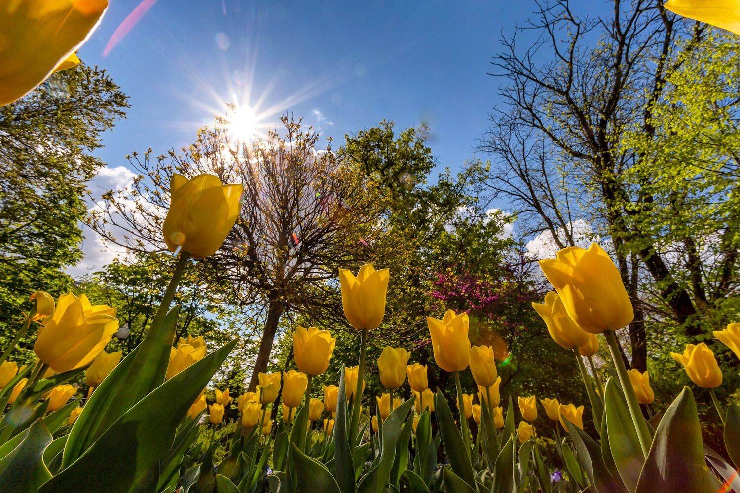 , Павел Сагайдак