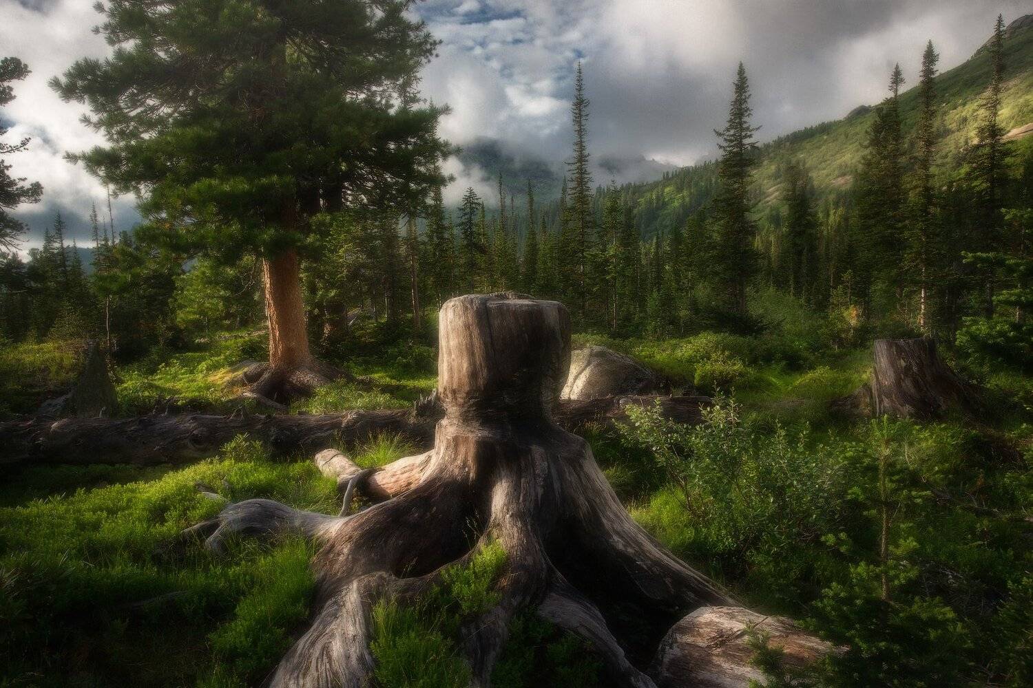 ергаки, горы, Владимир Ляпин