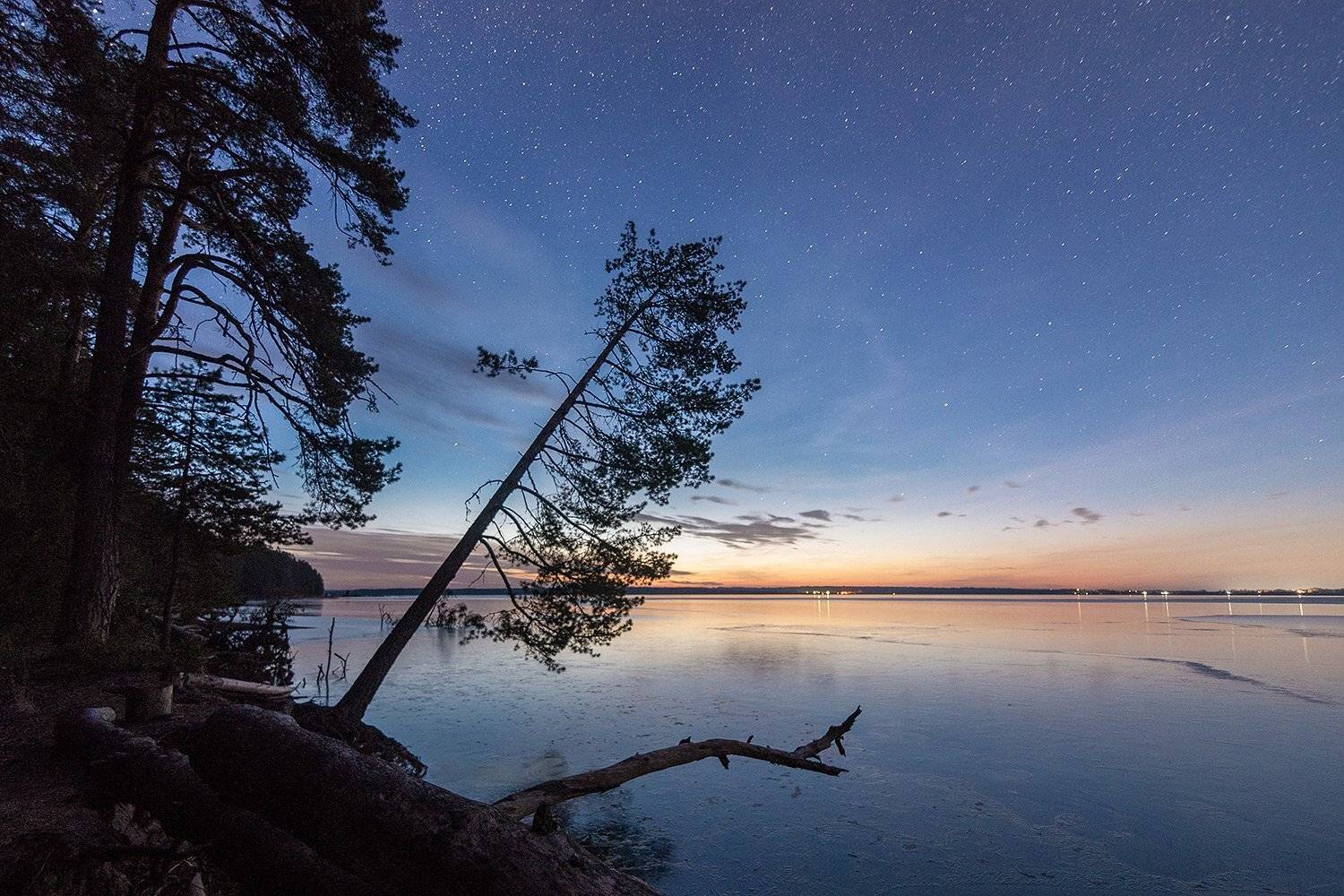 , Федотов Антон