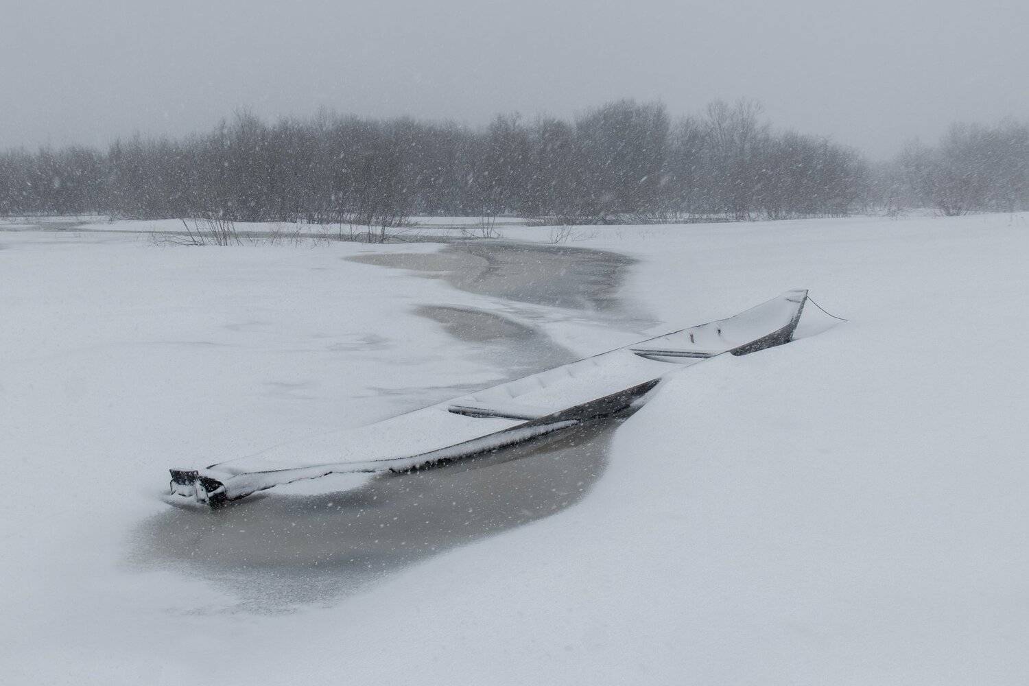 , Федотов Сергей