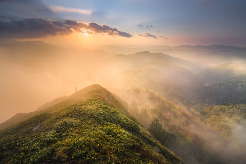 In another world фото превью