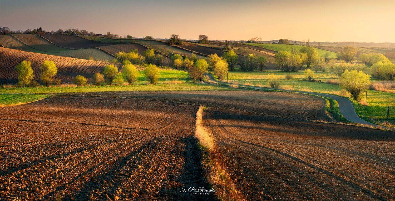 spring, spring vibes,landscape, trees,field,fields,sunset,light,warm light,, Jakub Perlikowski