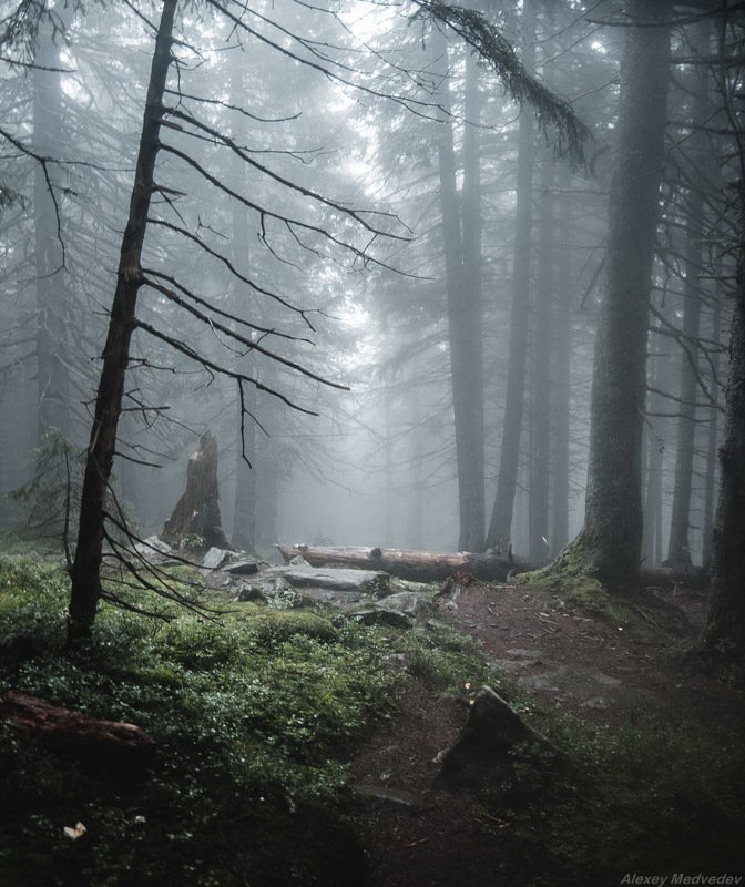 Карпаты, Украина *** фото превью