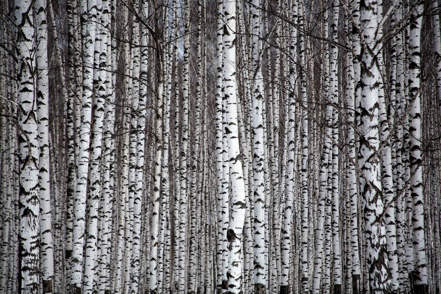 , ИГОРЬ МЕЛЬНИКОВ