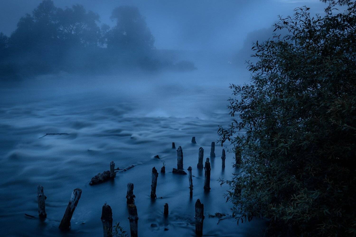 протва, река, ночь, рассвет, туман, сваи, деревья, огни, Андрей Чиж