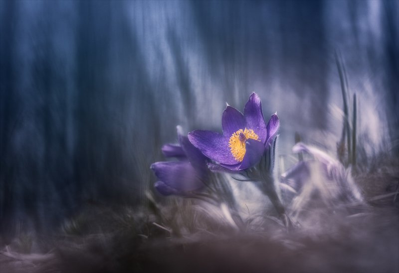 Тревожное... фото превью