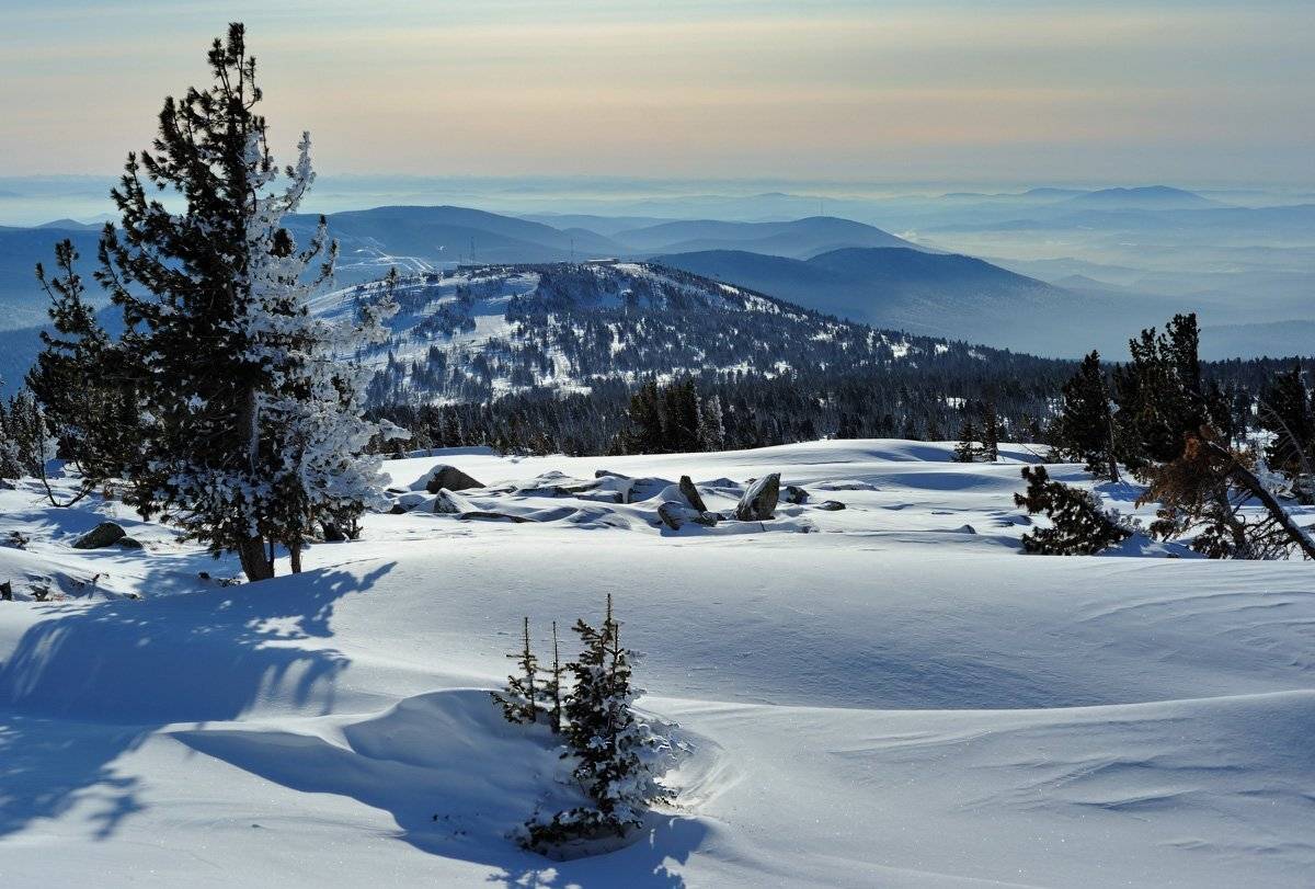 , Сергей Седов