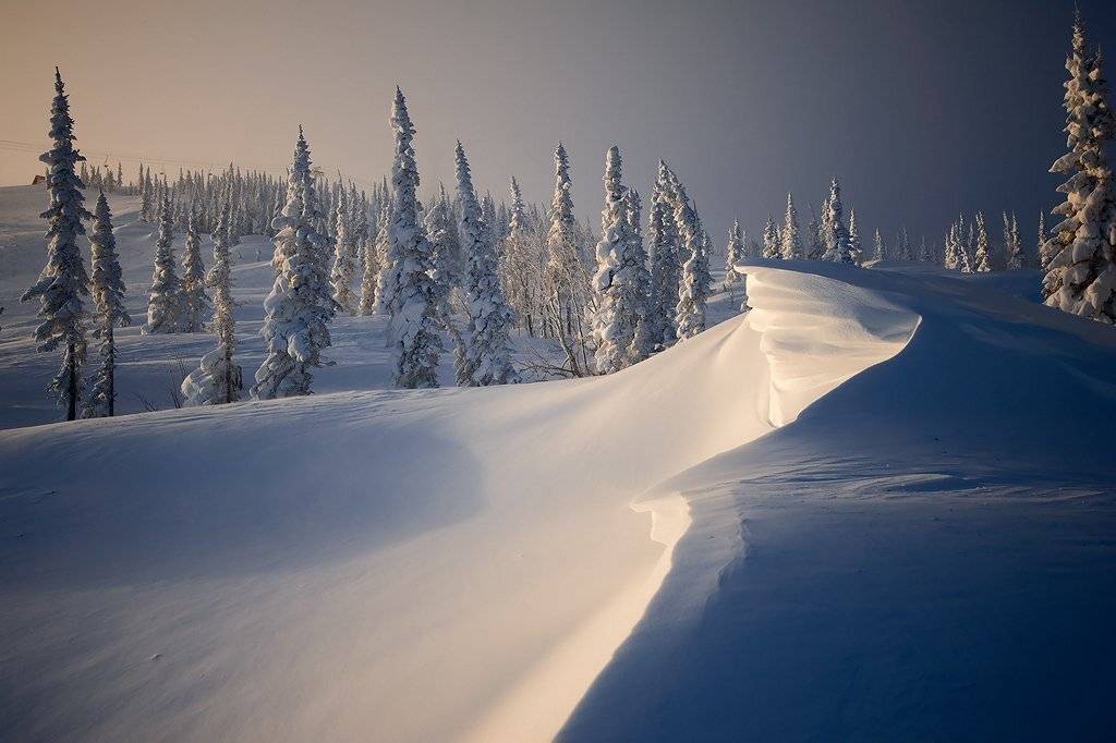 шерегеш, гора, зеленая, утро, пихты, свет, тени, Валерий Пешков