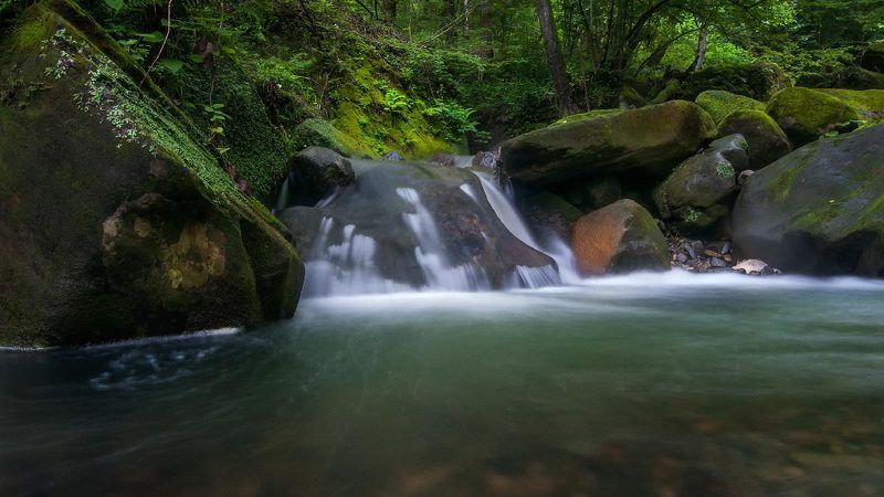 *** фото превью