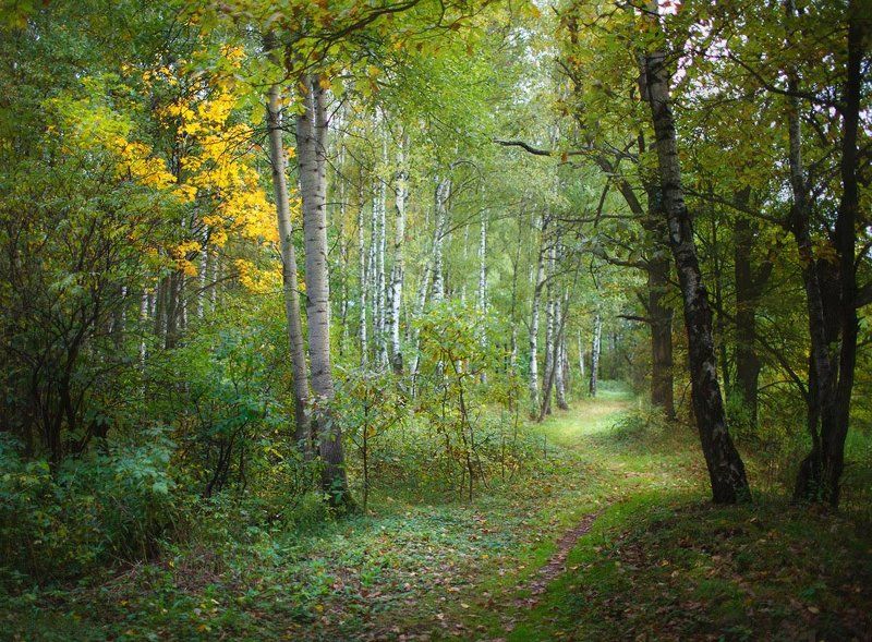 Скоро осень фото превью