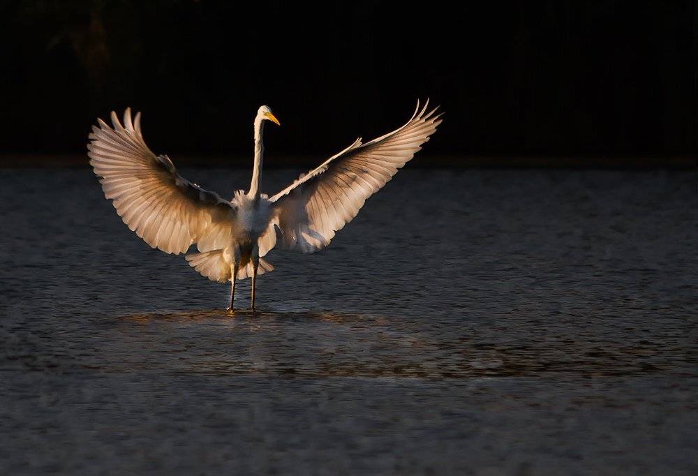 , Игорь Олейник