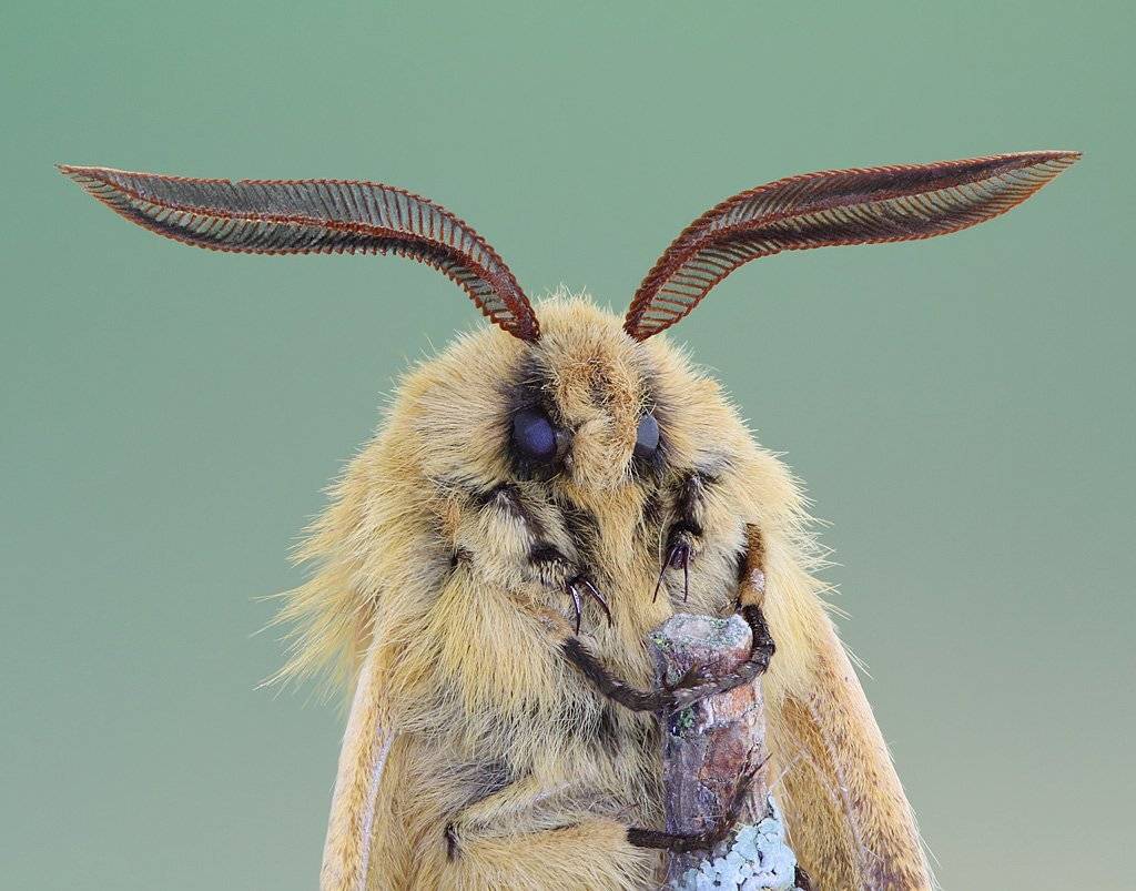 , Сергей Таланов