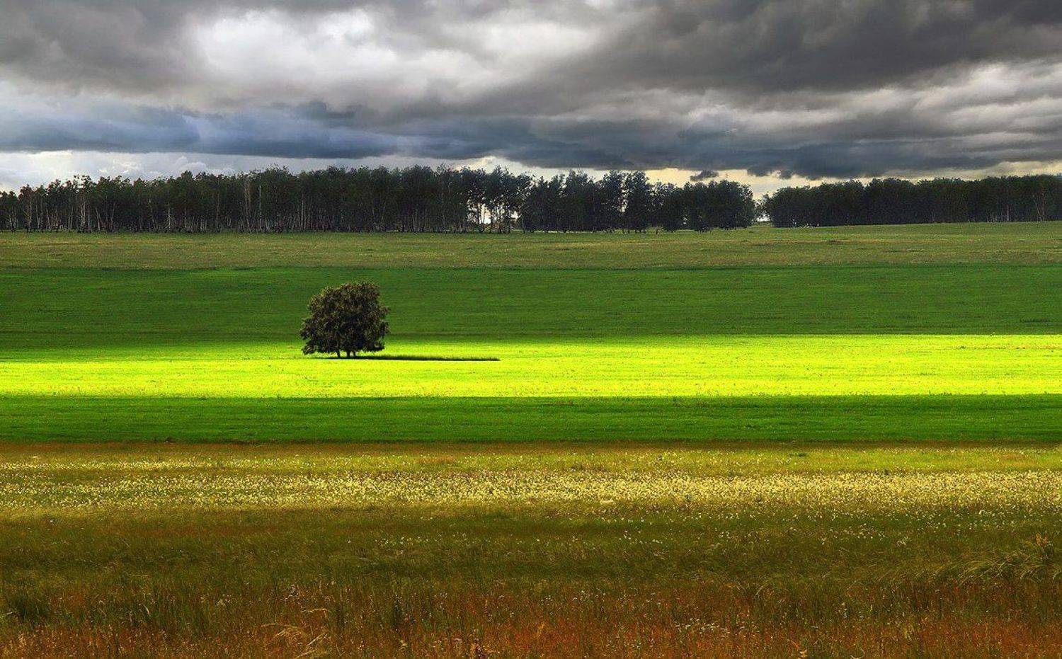 , Александр Сысуев