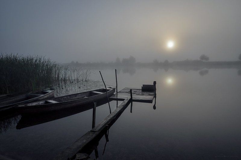 FoG фото превью