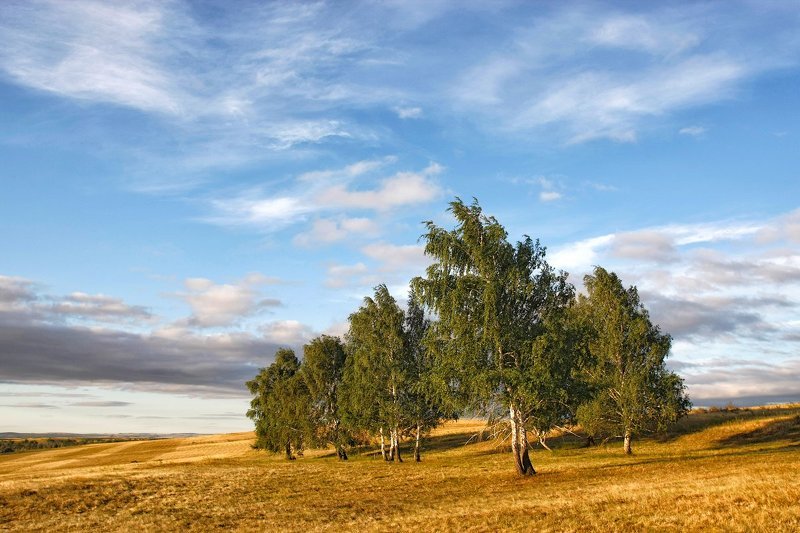 В России фото превью