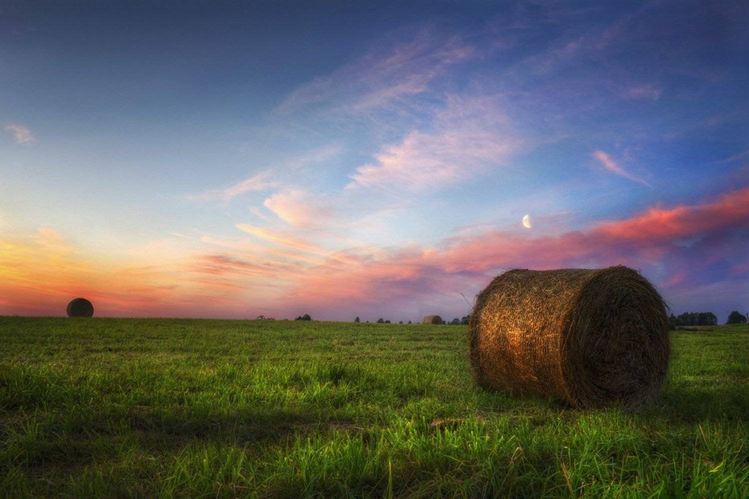 , Vitalijus Serioginas