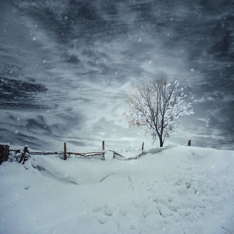 Winter stranger фото превью