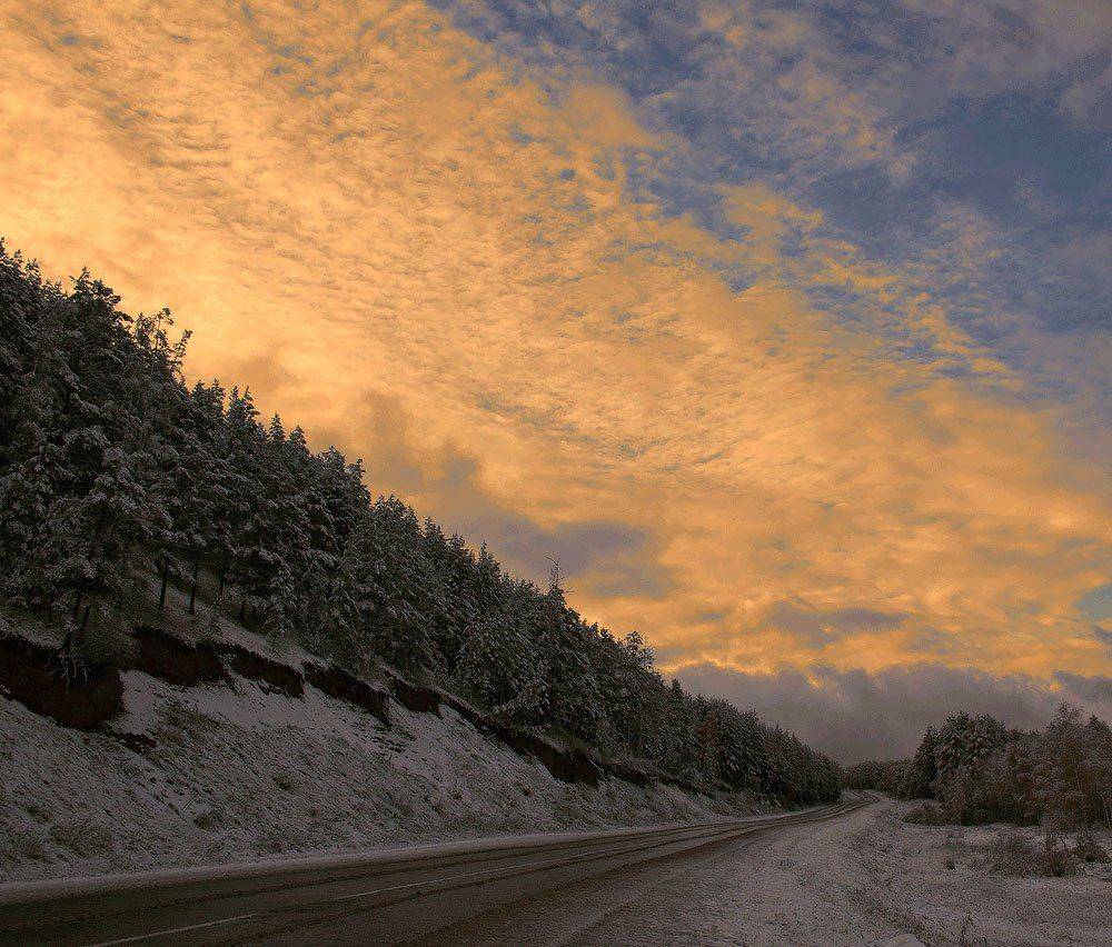 , Николай Морский