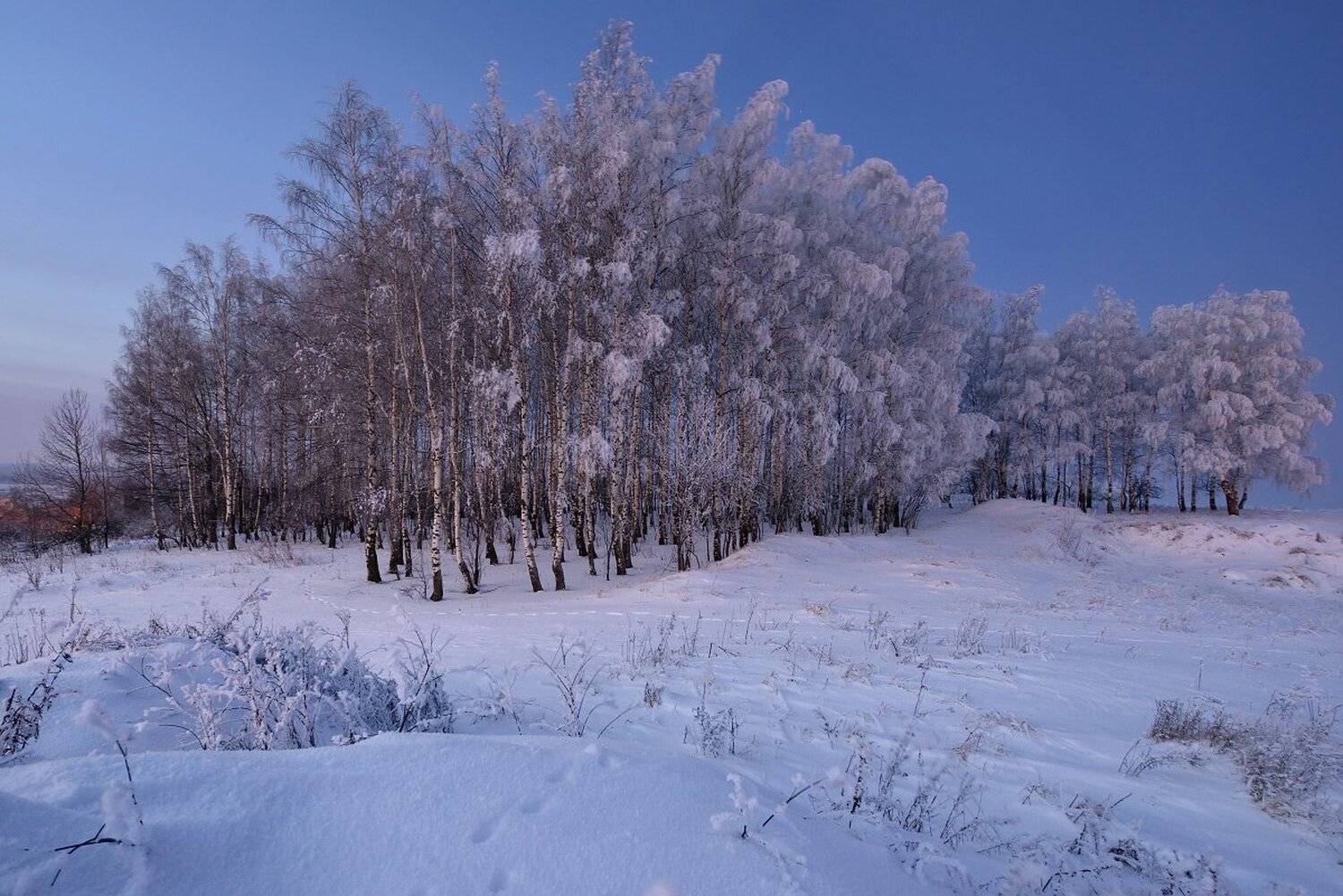 , Максим Евдокимов