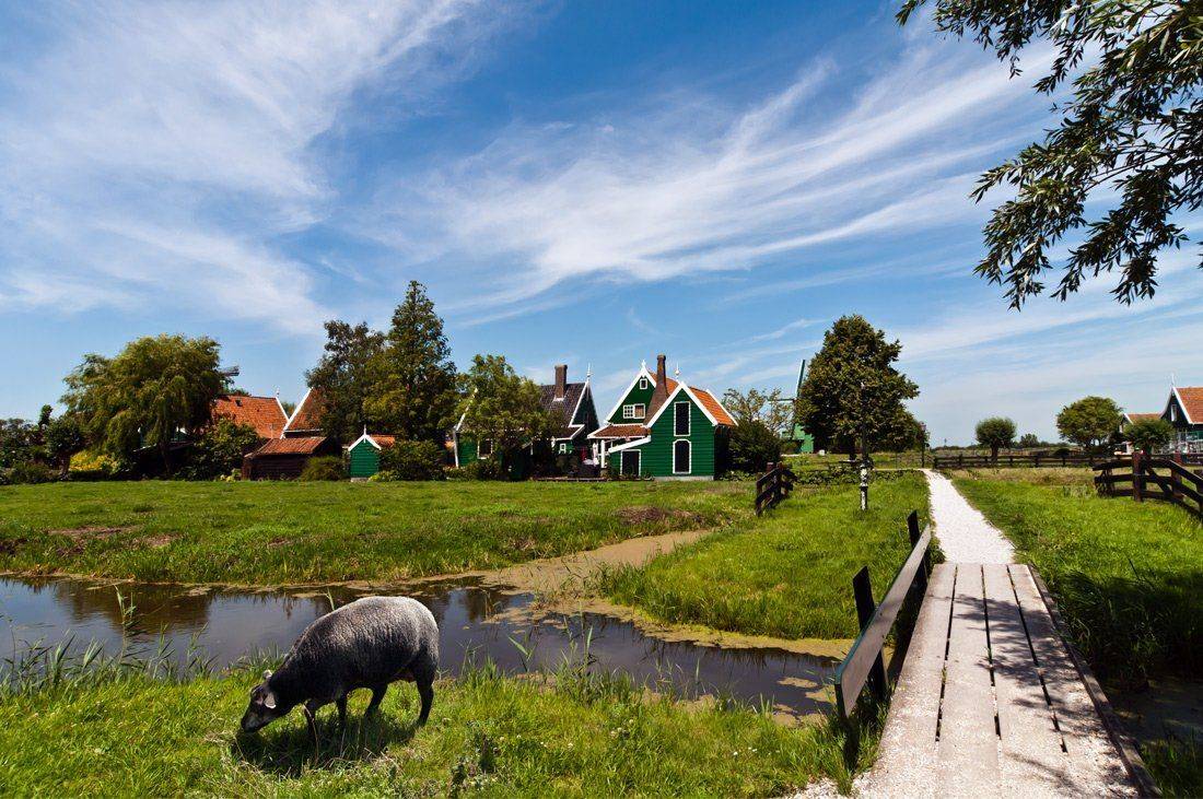 , Людмила Прокофьева