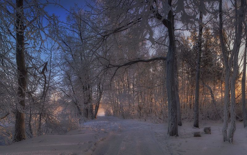Icy silence фото превью