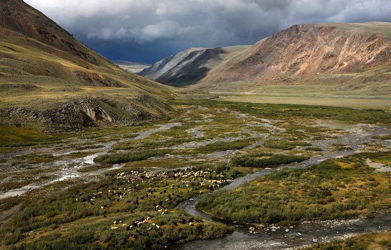 Горный Алтай. фото превью