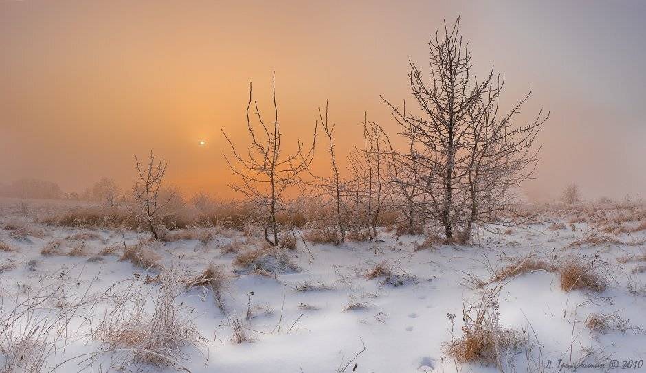 , Любомир Тригубишин