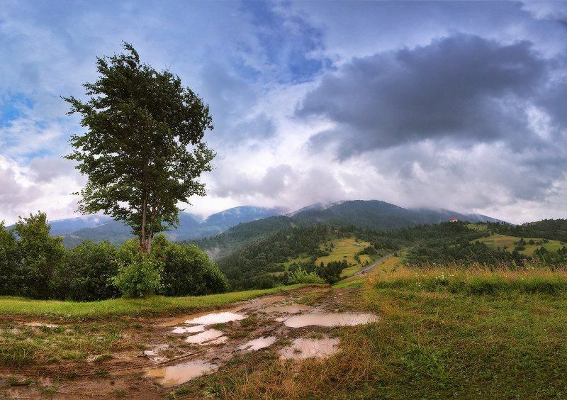 август, день, карпаты, лето Прохладным летом в Карпатах фото превью