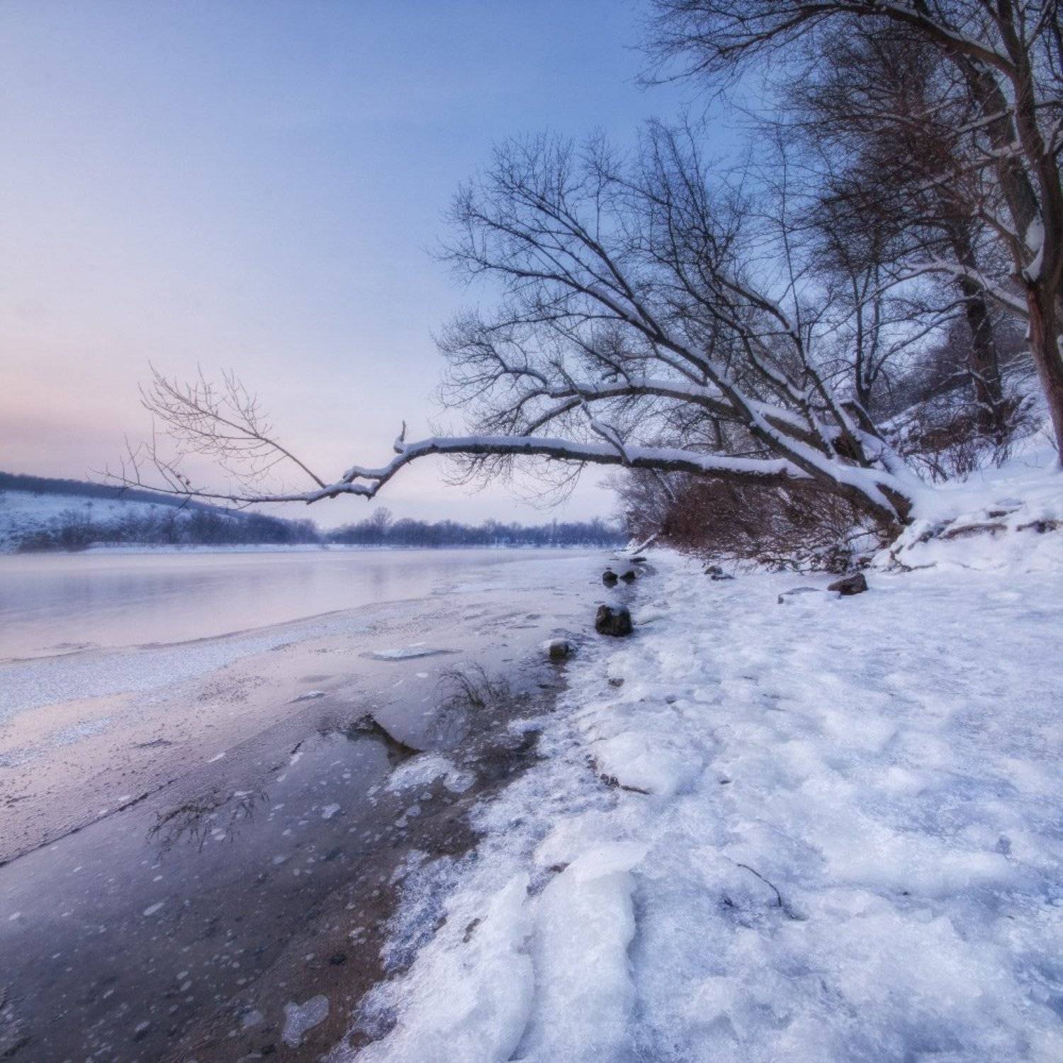 , Величко Владимир