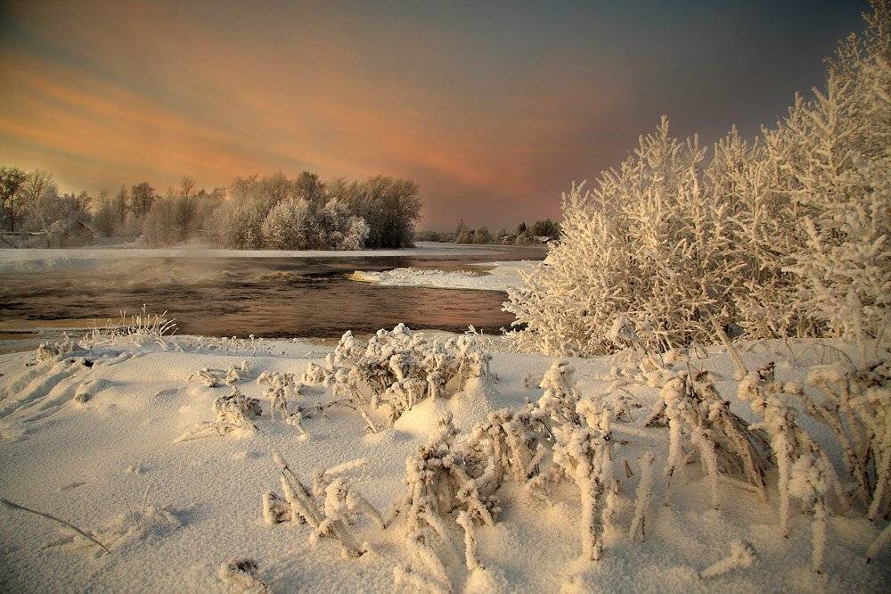 , Александр Коротков