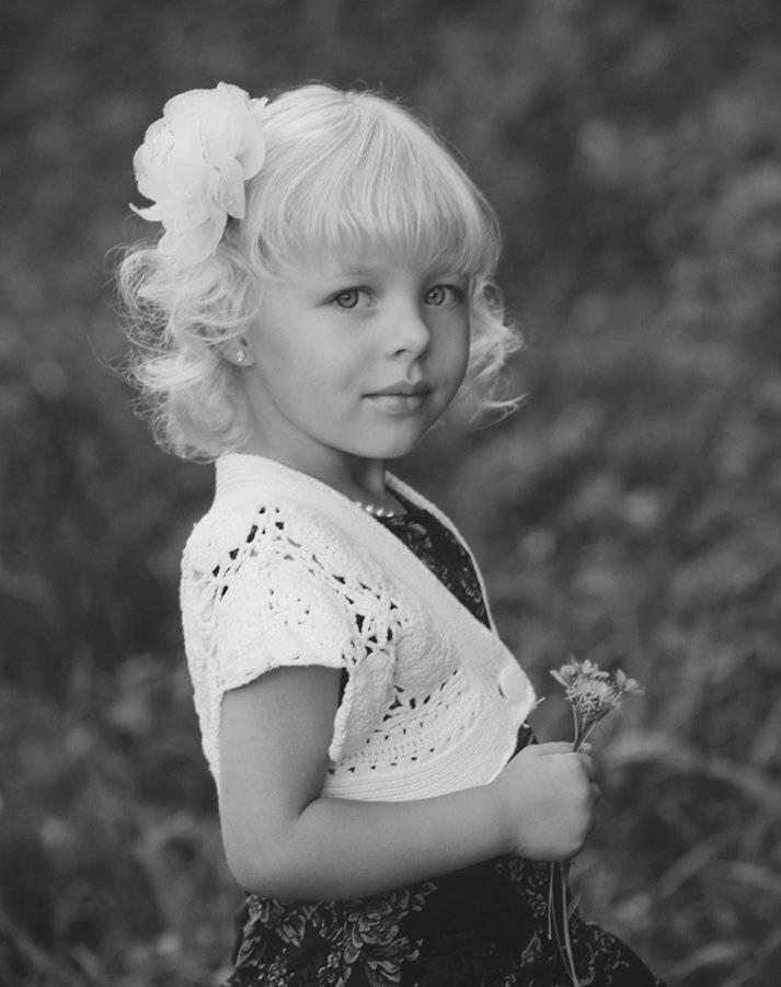 , Владимир Белый