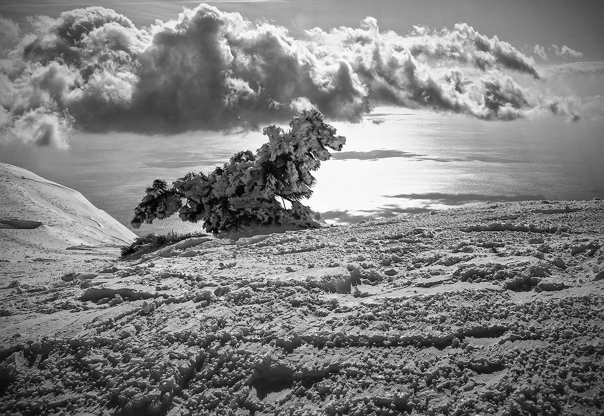 , Игорь Мелекесцев