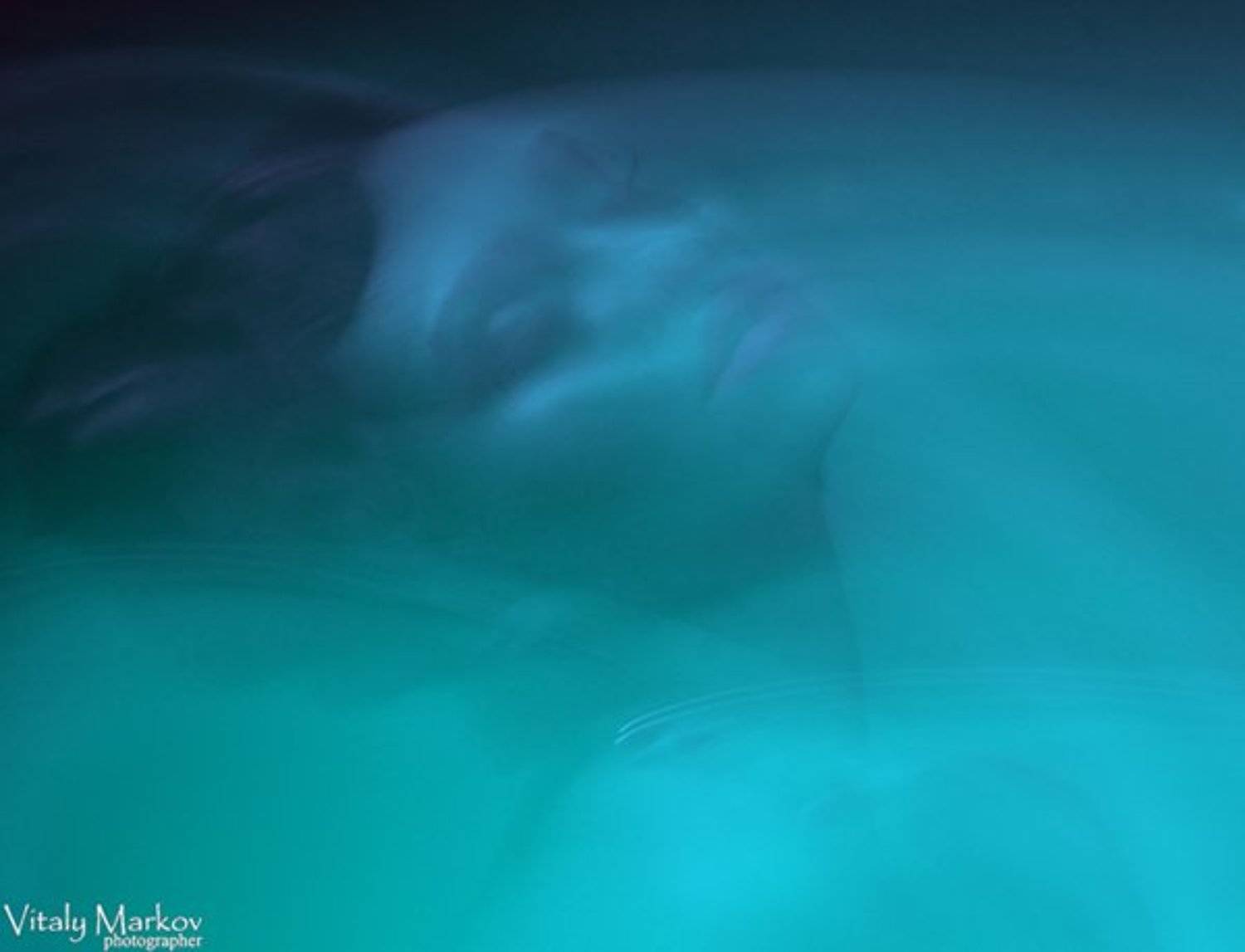 , Виталий Марков