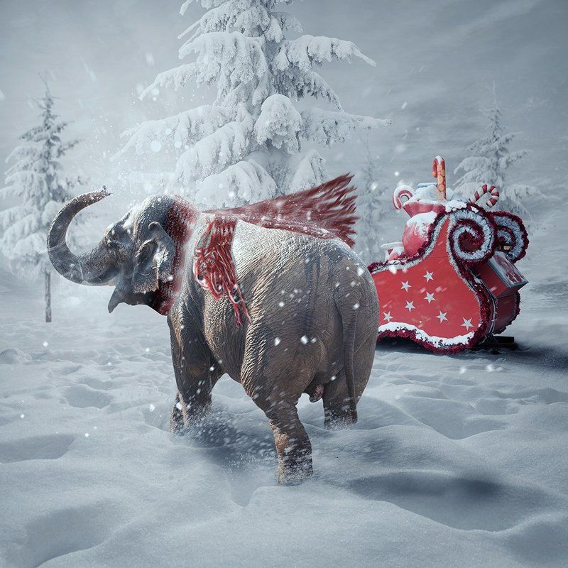 Merry Christmas фото превью