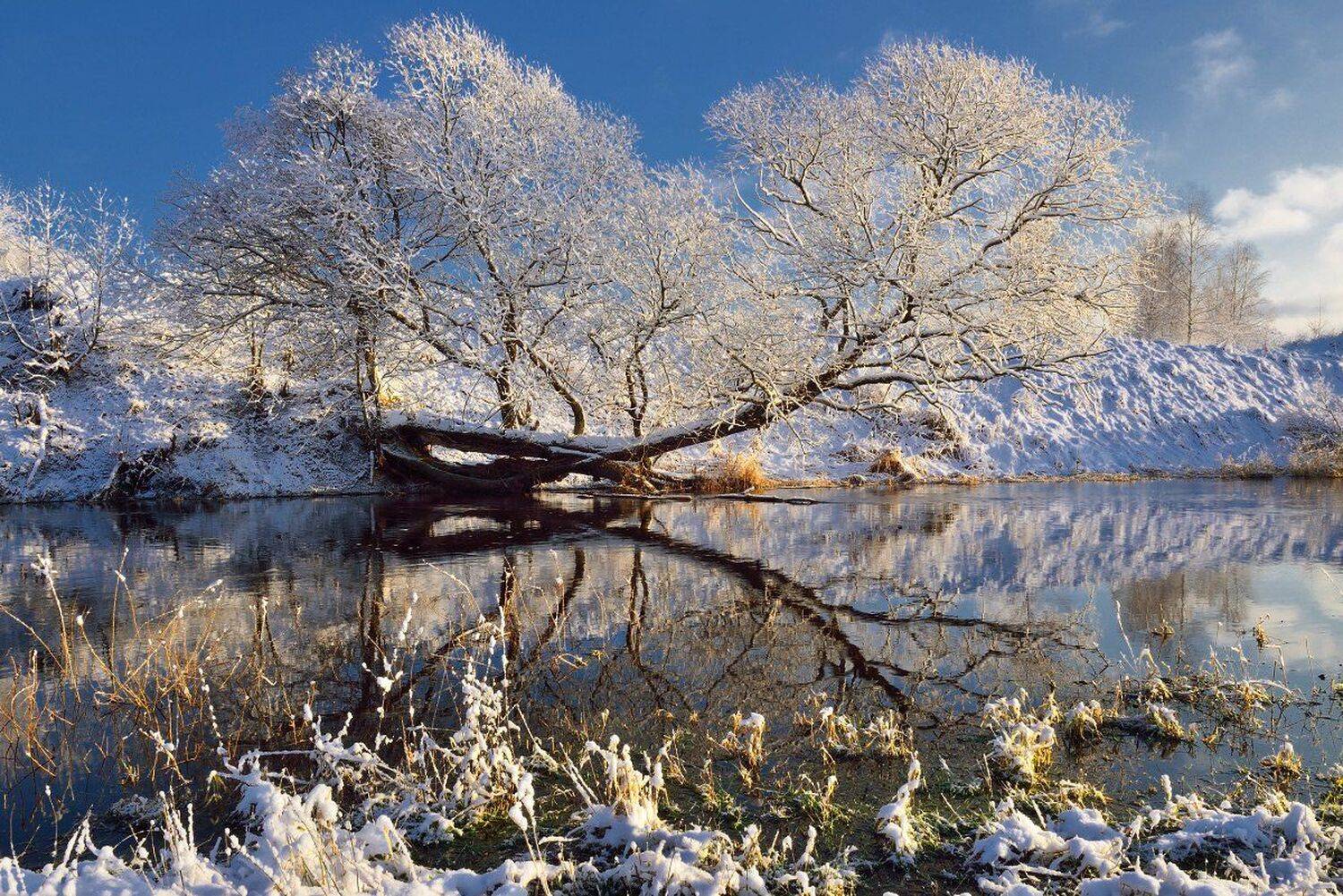 , Максим Евдокимов