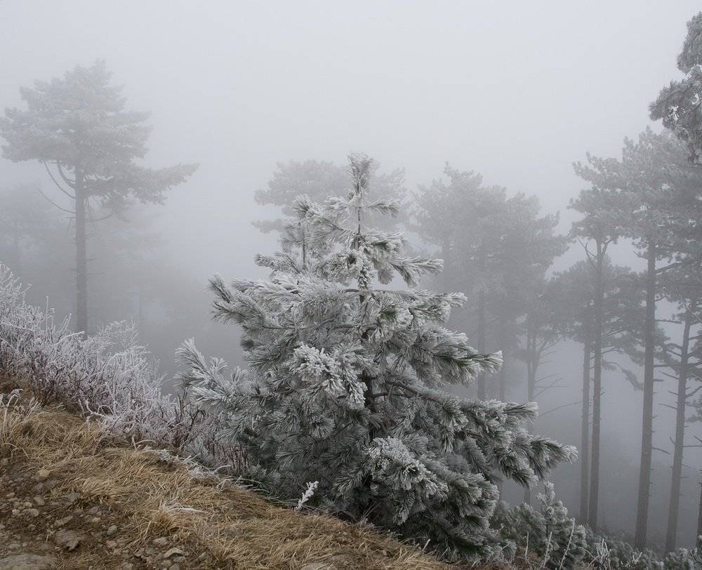 , Виталий Ра