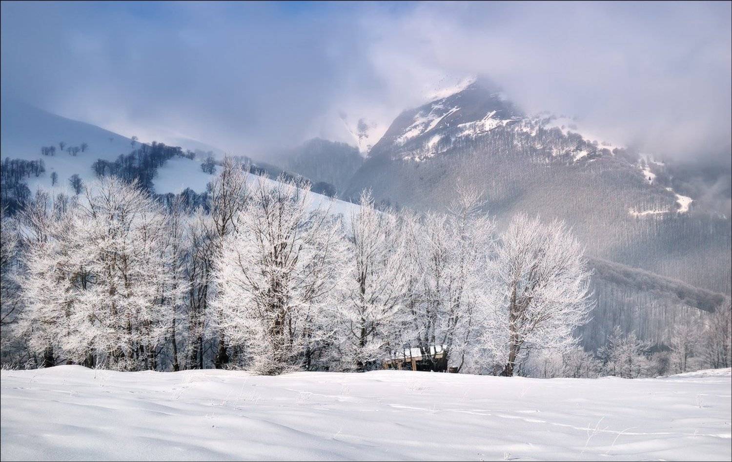 , Игорь Пастернак