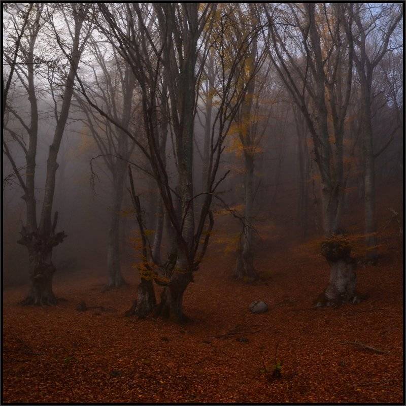 , Владимир Метцгер