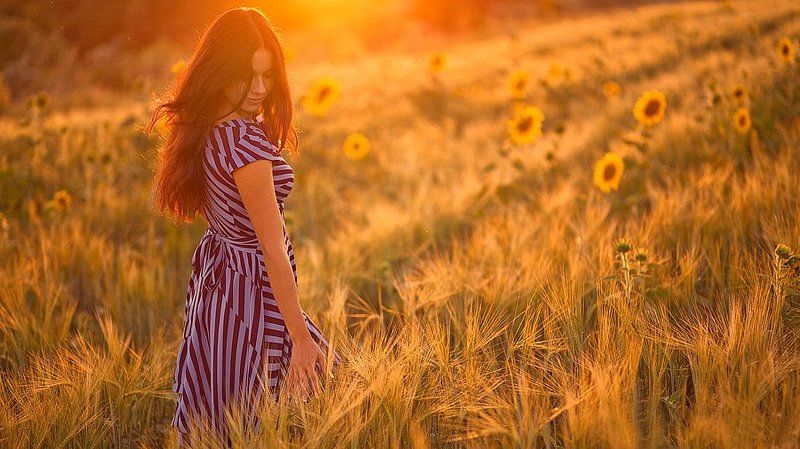 Puesta del sol de trigo фото превью