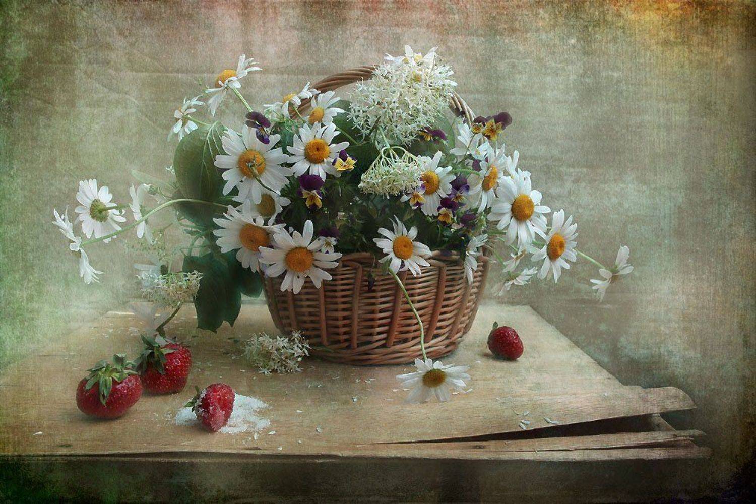 цветы, натюрморт, Svetlana Ра