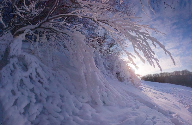 Солнечный денёк фото превью