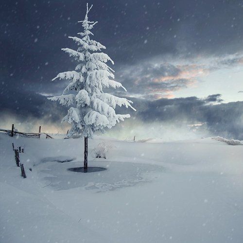 Let it snow, let it snow ...