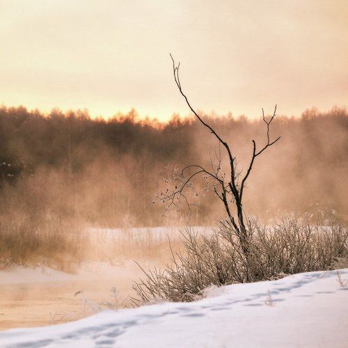 Зимняя открытка